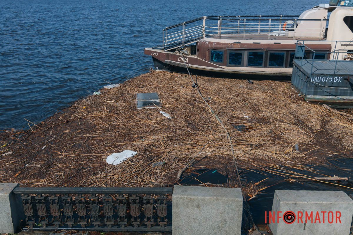 Сміття прибило до причалу