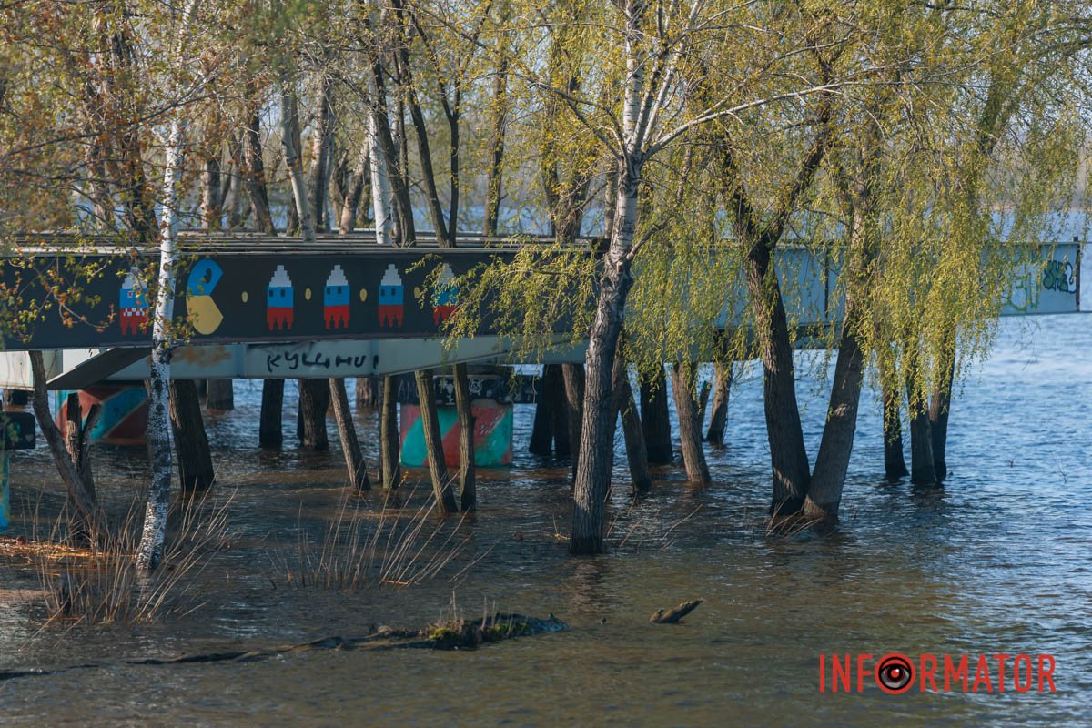 Сучасні джунглі