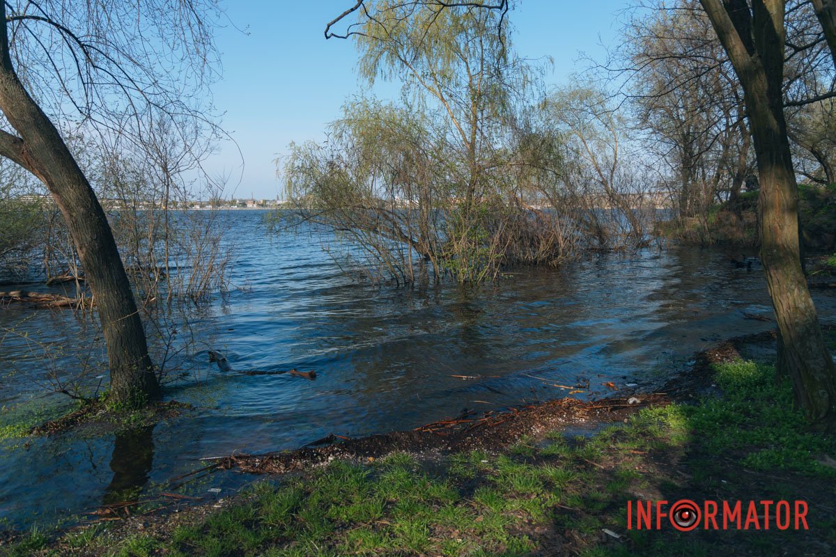 За пам'ятником Шевченку
