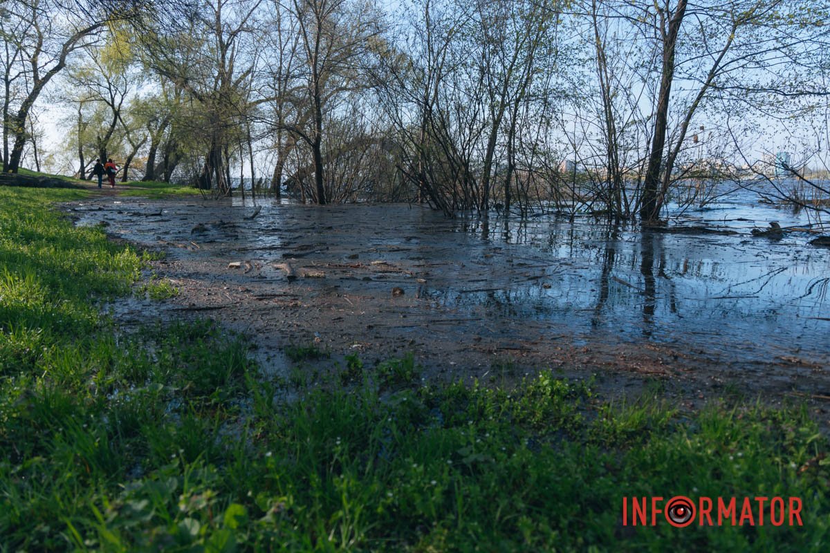 Природа "забирає своє"