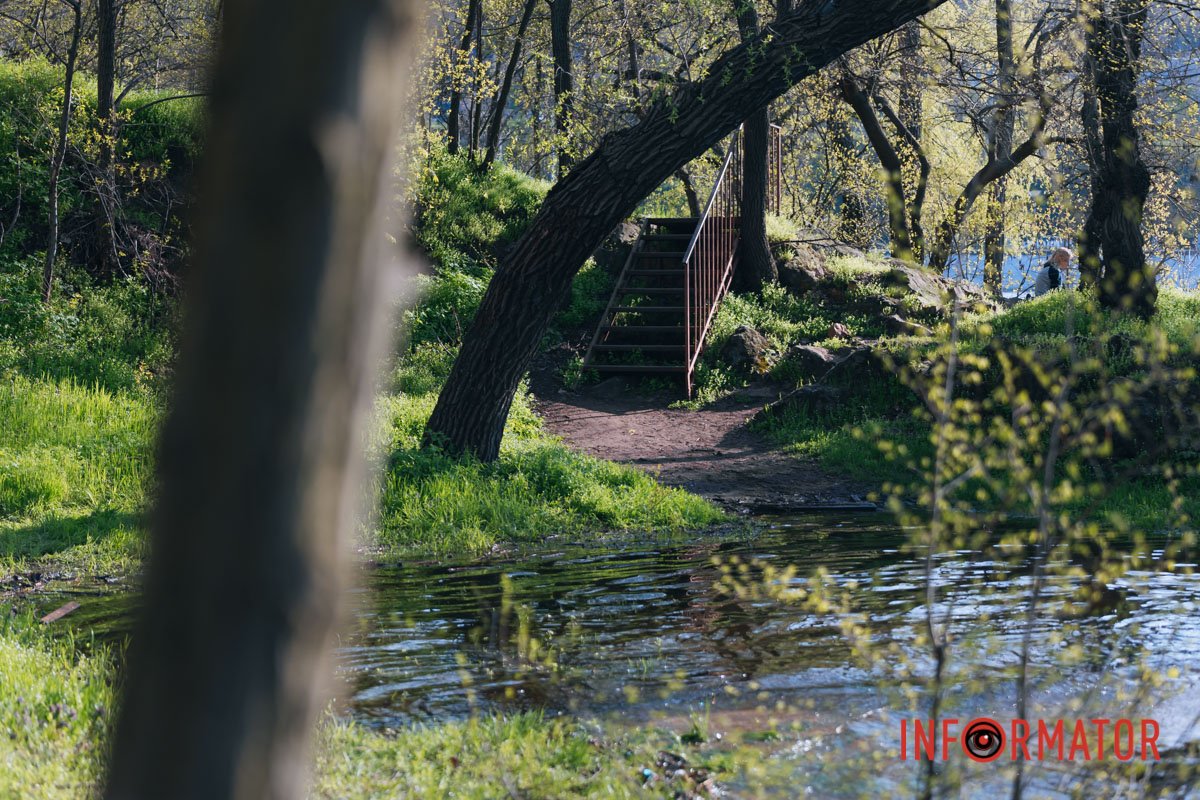 Справжні джунглі