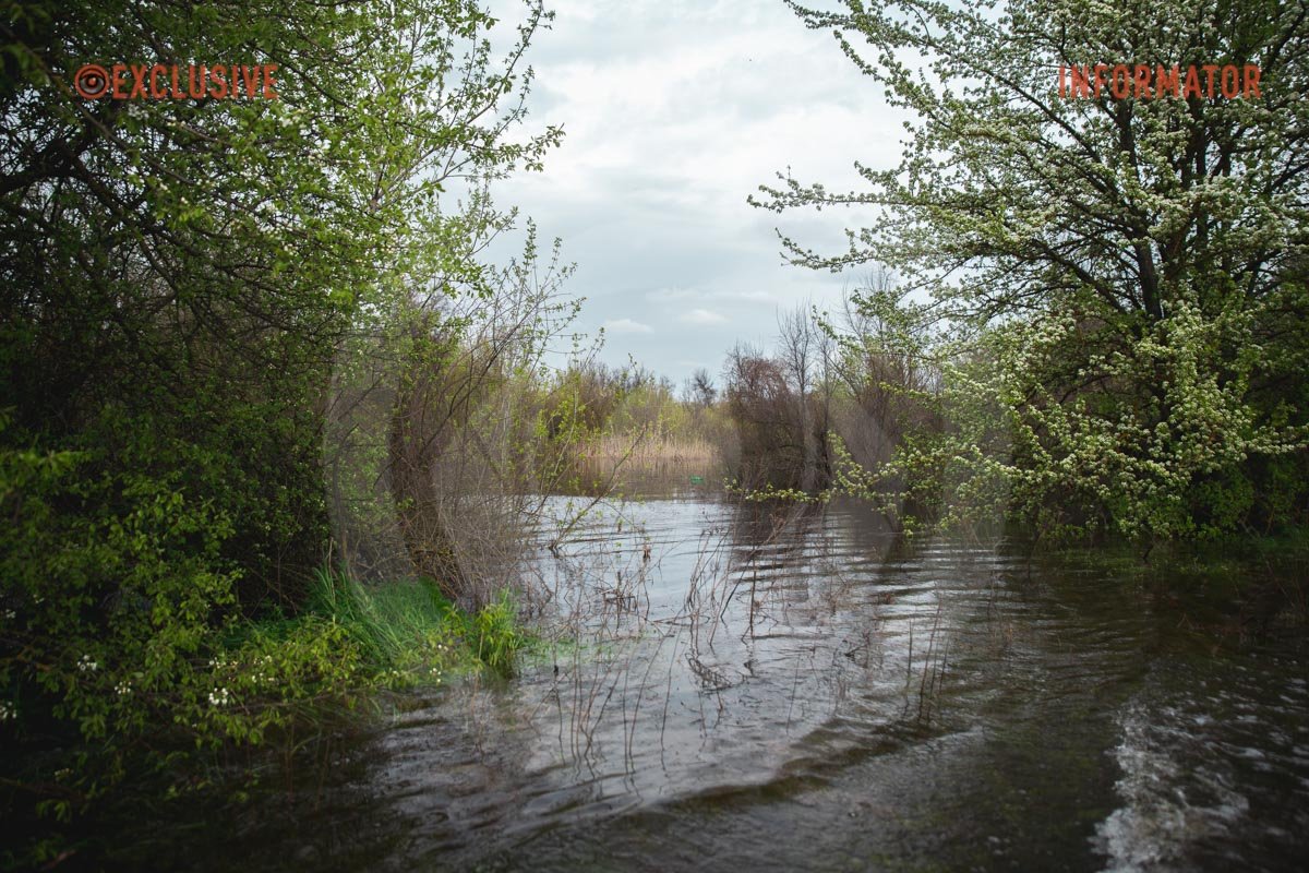 Поблизу садового товариства "Оріль"