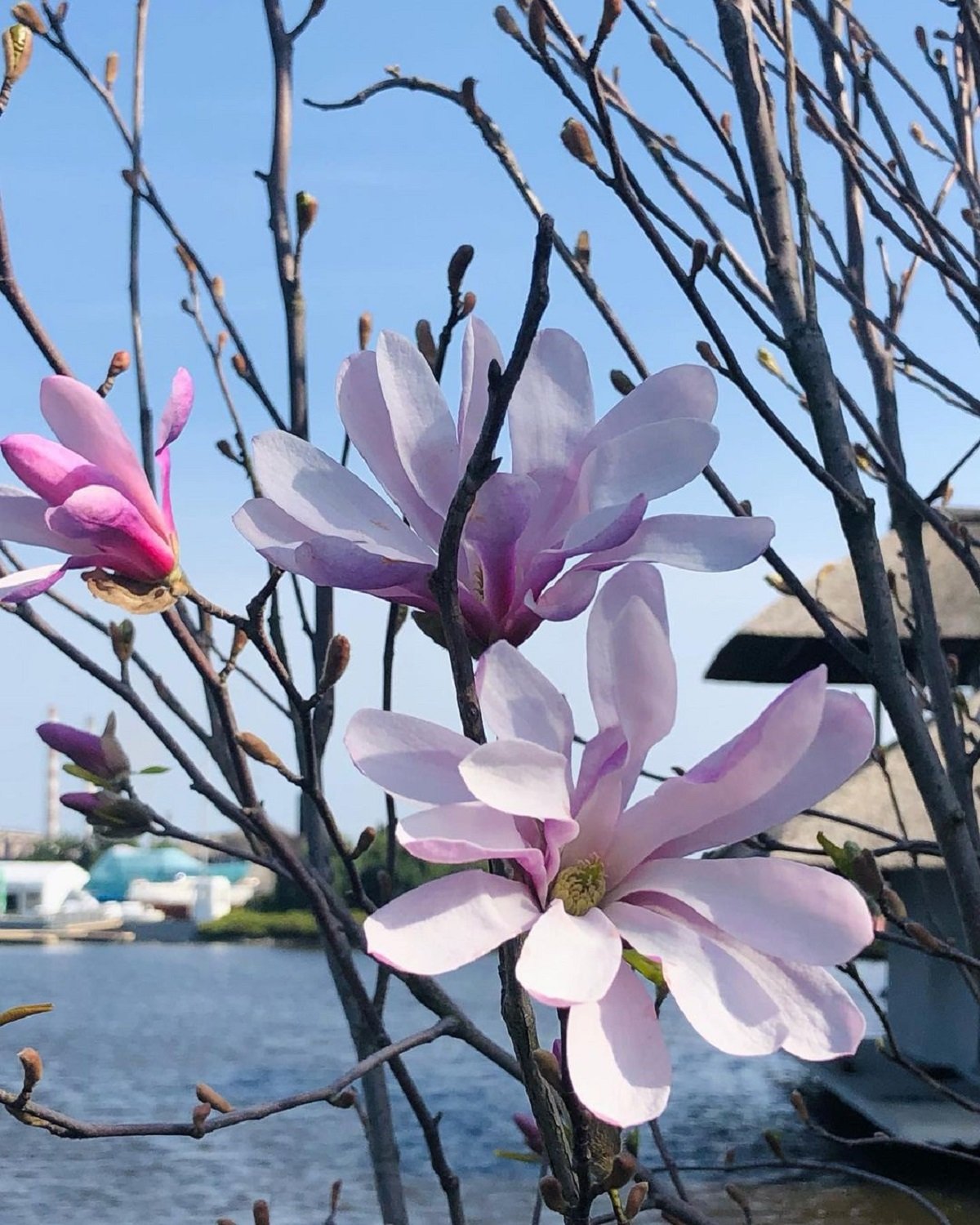 Фото: @lekastulchik Фото: @lekastulchik