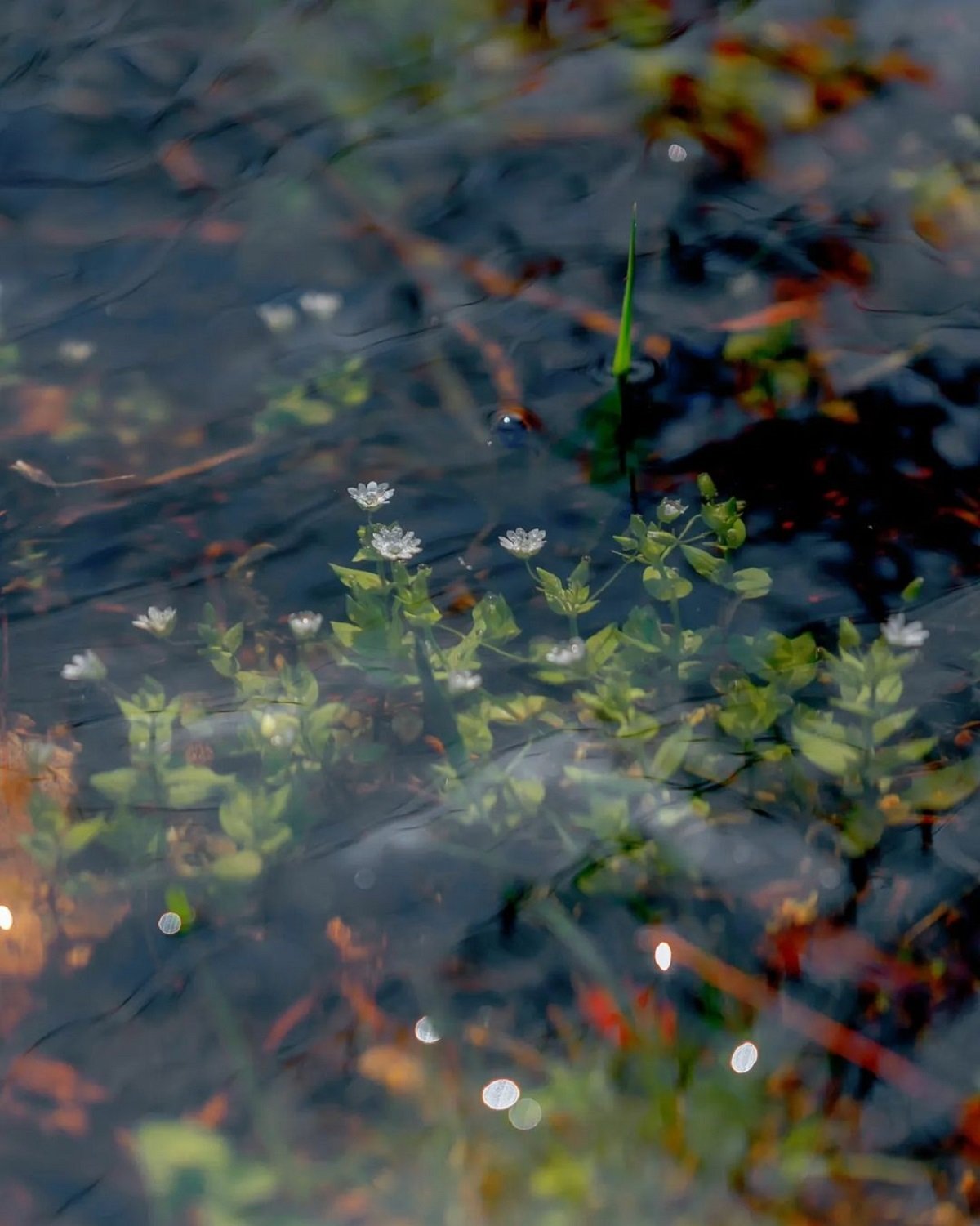 Фото: @ph_deniska Фото: @ph_deniska