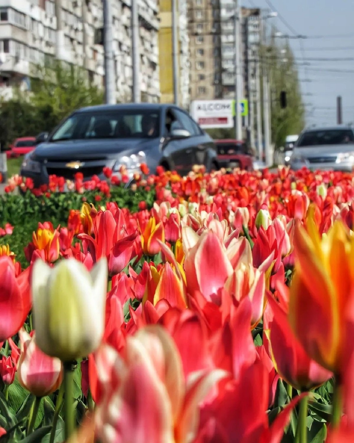 Фото: @photographer_andrey_moroz Фото: @photographer_andrey_moroz