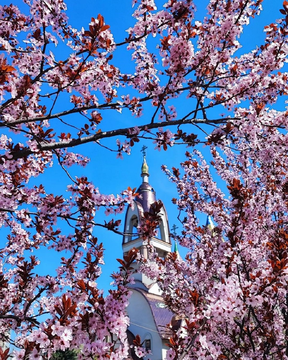 Фото: @tina_aspo Фото: @tina_aspo