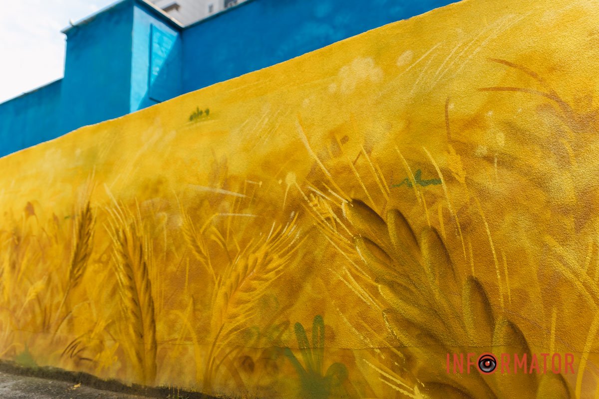 Степи українські Степи українські