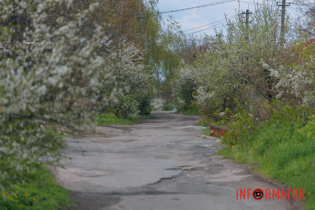 "Квітковий тунель"