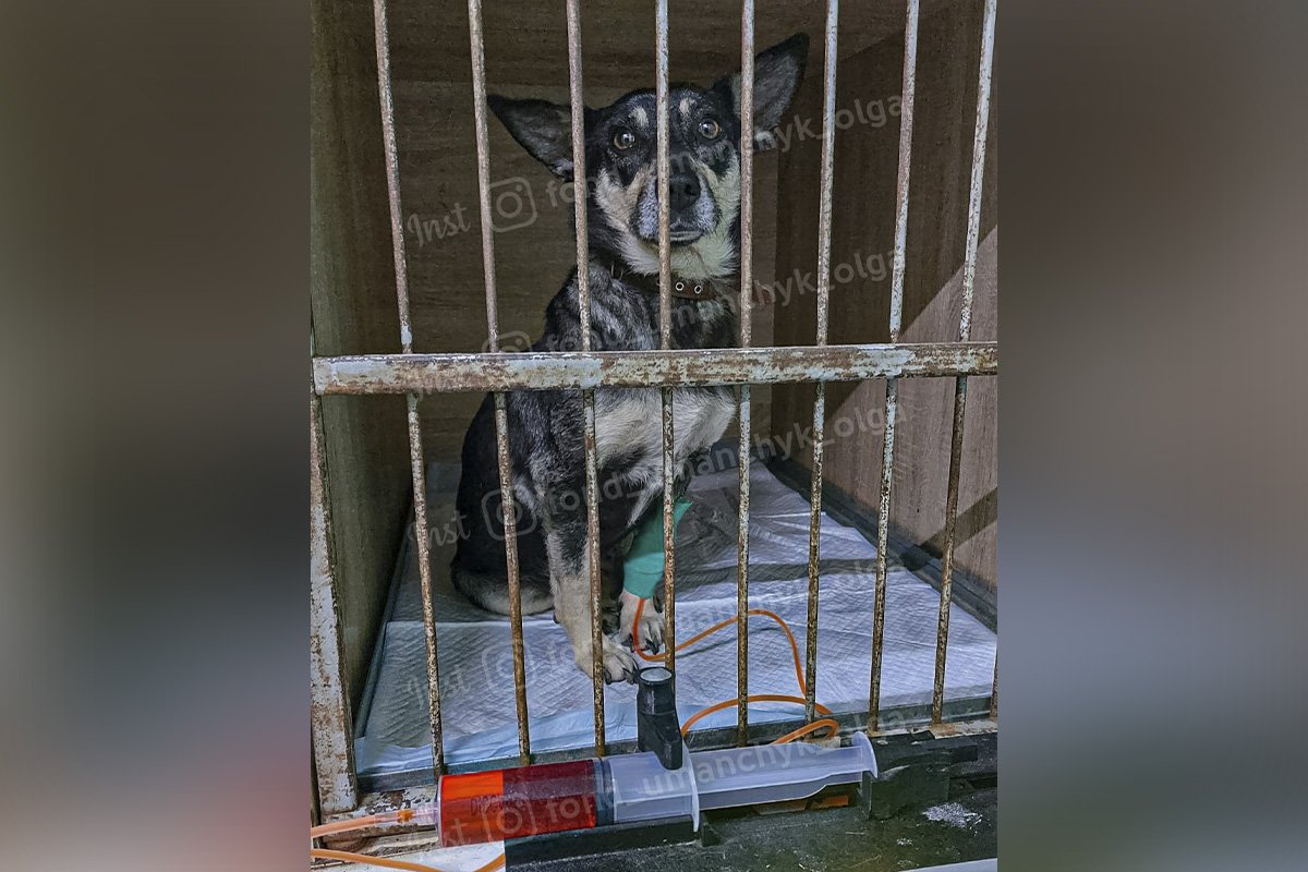 Шанталь потребує допомоги