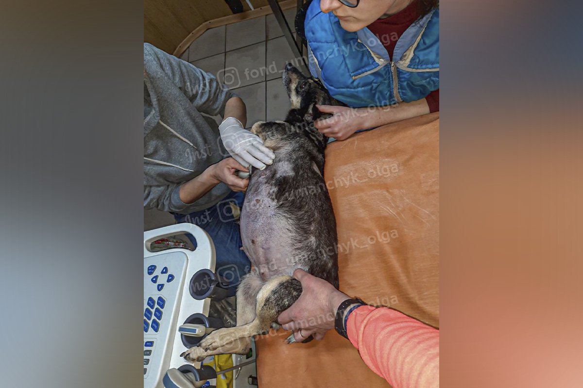 Є ймовірність онкозахворювання