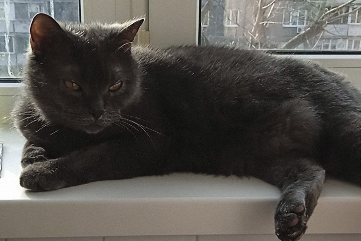 Ляклива, але самодостатня Нора