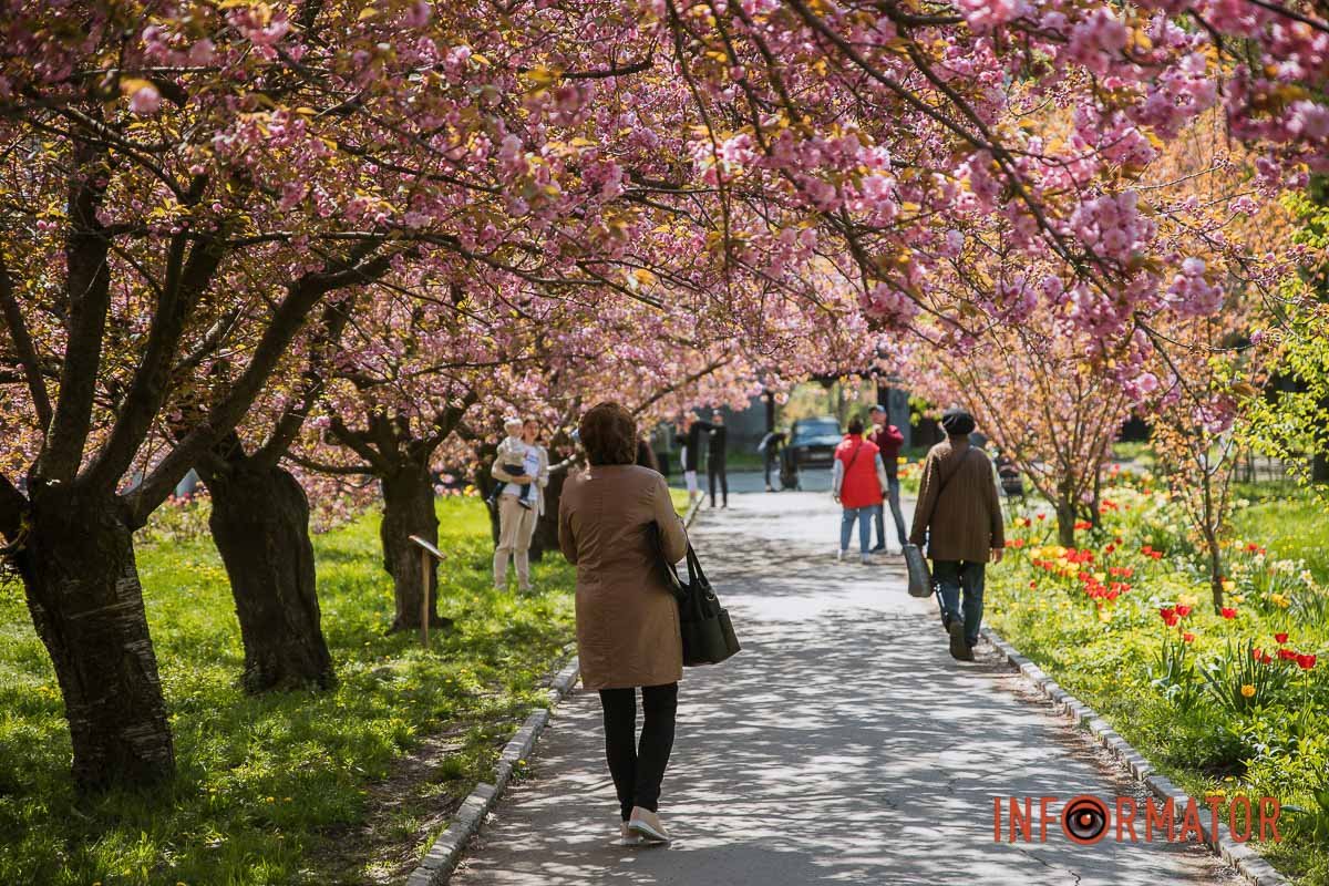 Перші відвідувачі