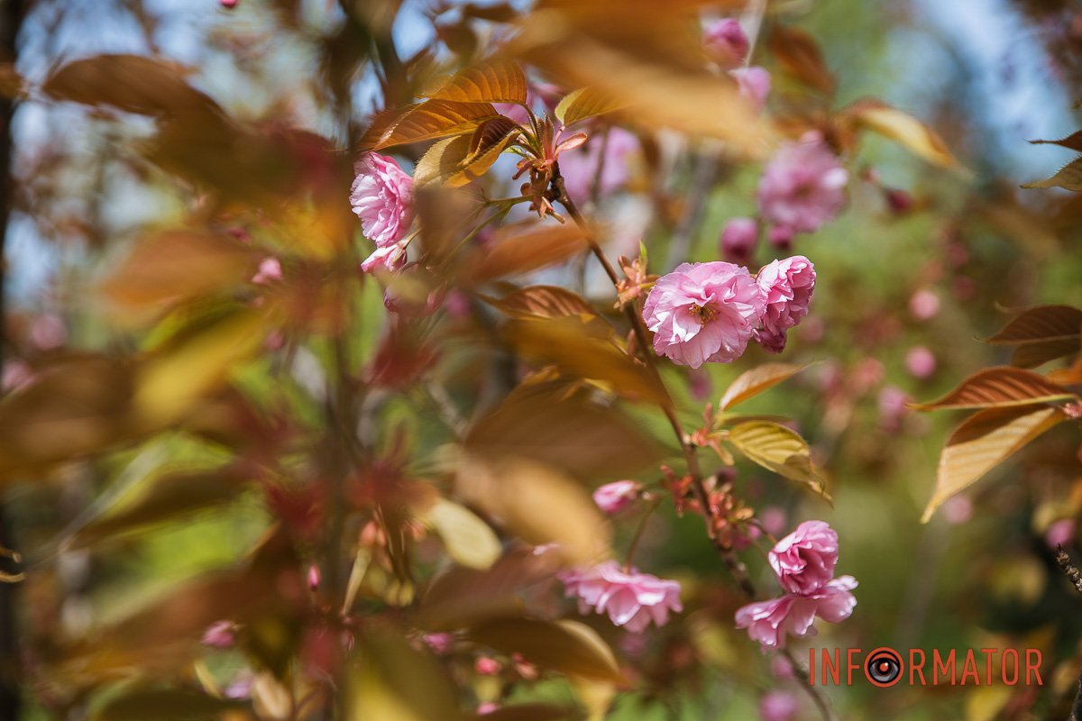 Скоро буде літо