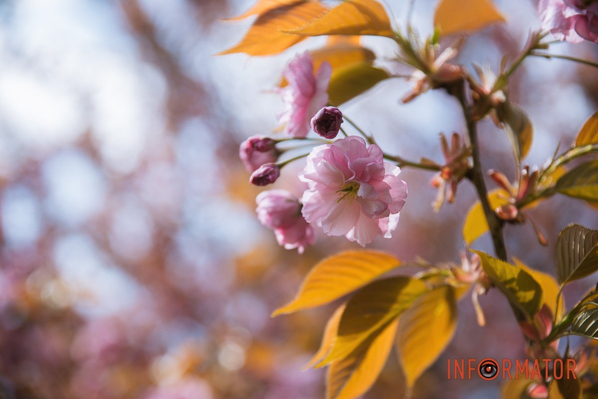 Не забувайте ділитися фотографіями у соцмережах