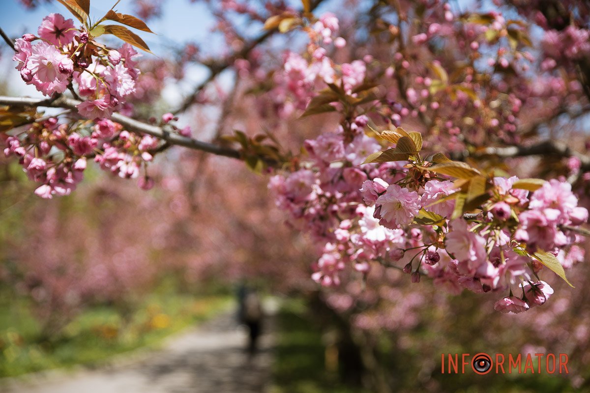 Це мені потрібно