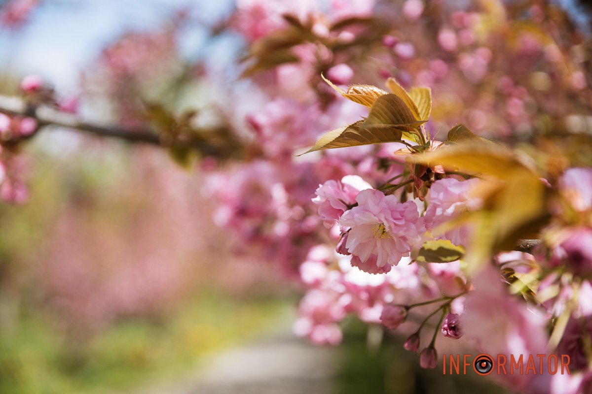 Хоч би дощ все не зіпсував