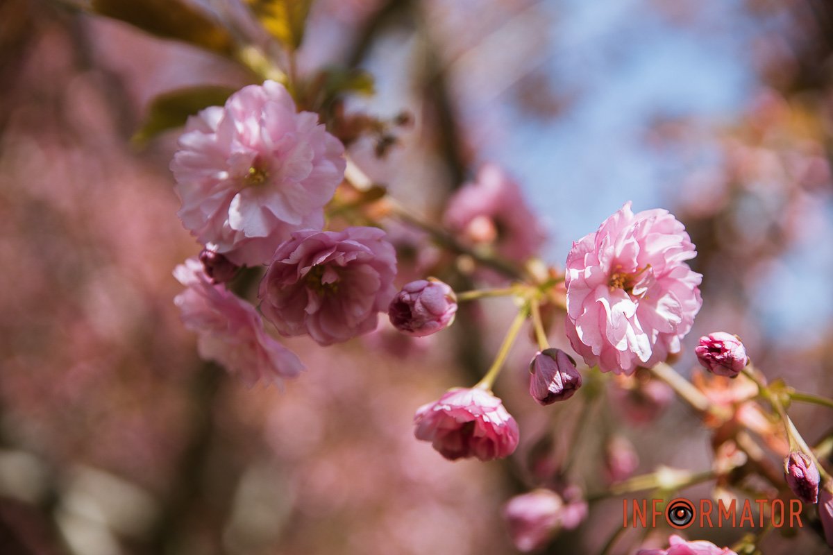 Ох як гарно!