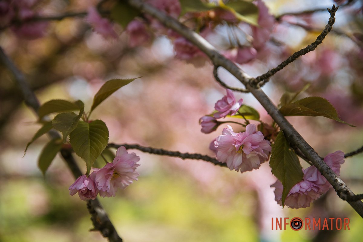 Ми не могли такого пропустити 