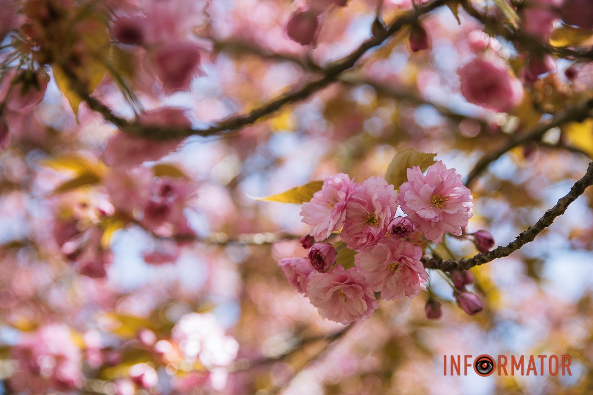 Завдяки військовим ми можемо робити фотографії