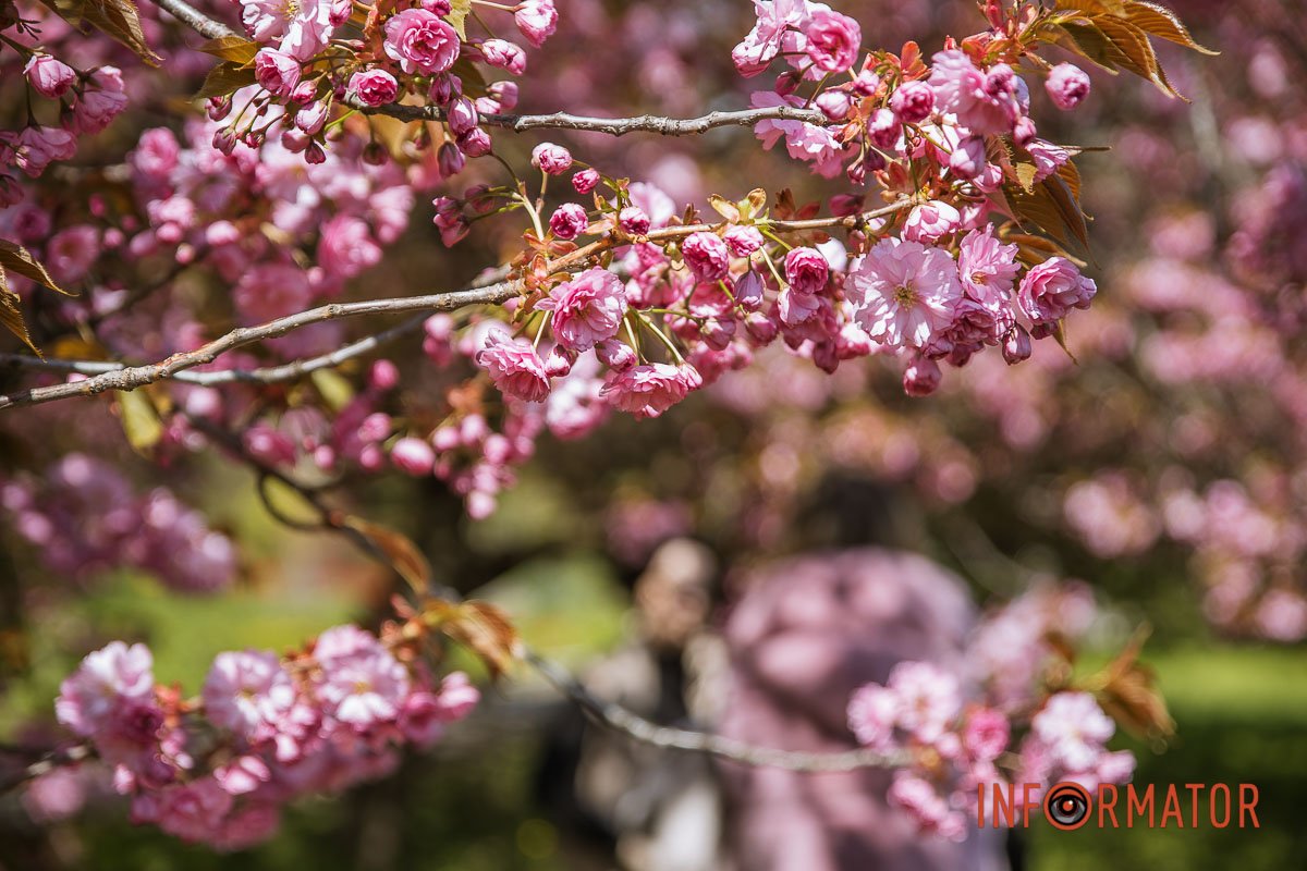 Після зими повертається тепло 