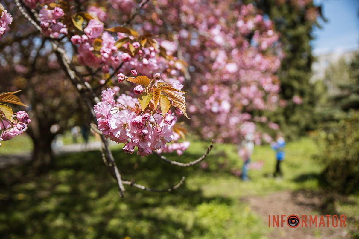 Відчуття прекрасного