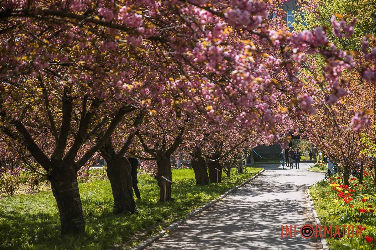Слова зайві