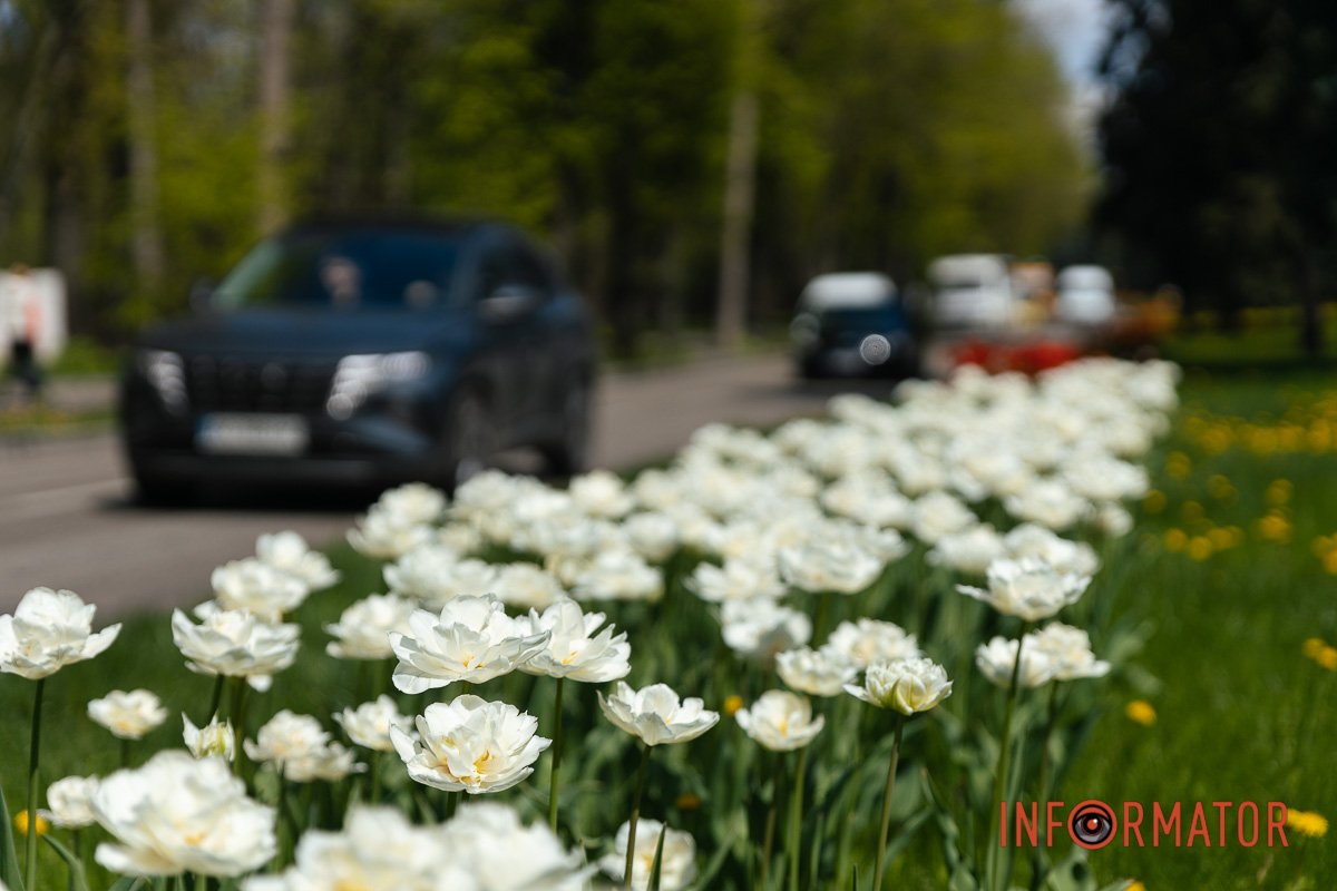 Ніжний білий колір