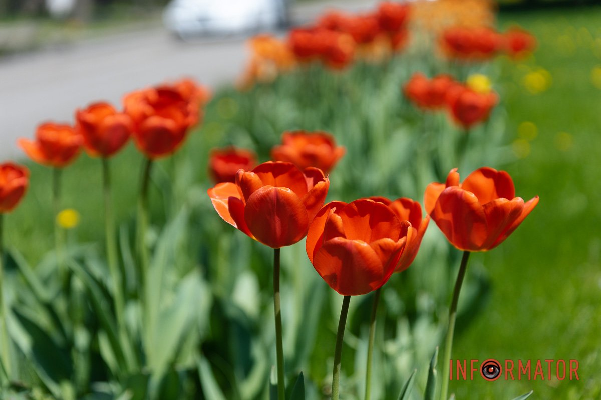 Скільки їх тут