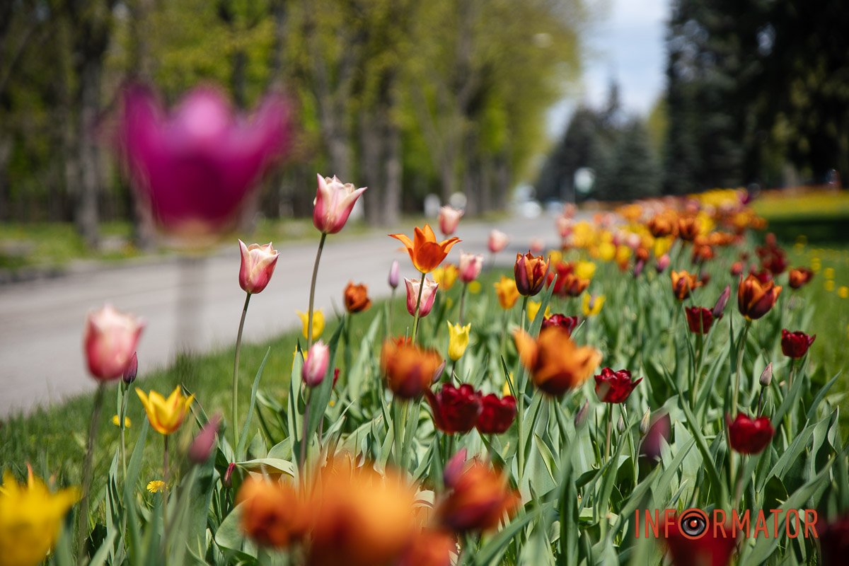 Все таке різнобарвне