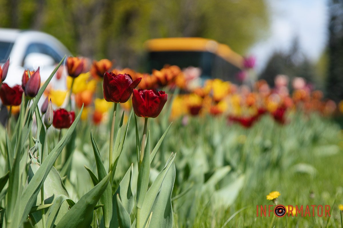 Життя не зупиняється