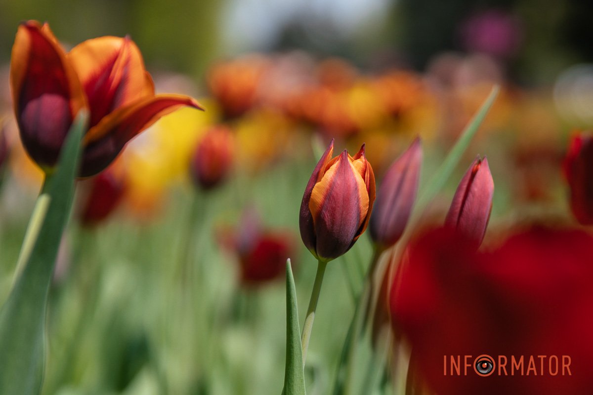 І всі такі різні