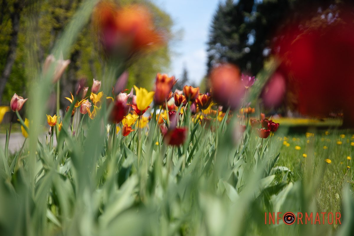 Красивий ракурс