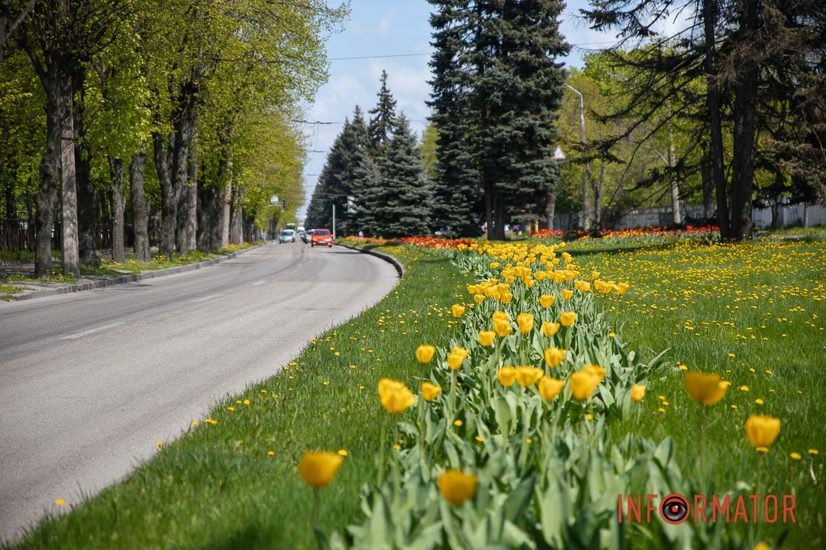 Можна розгубитись