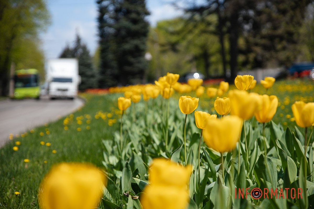 Природнє заспокійливе