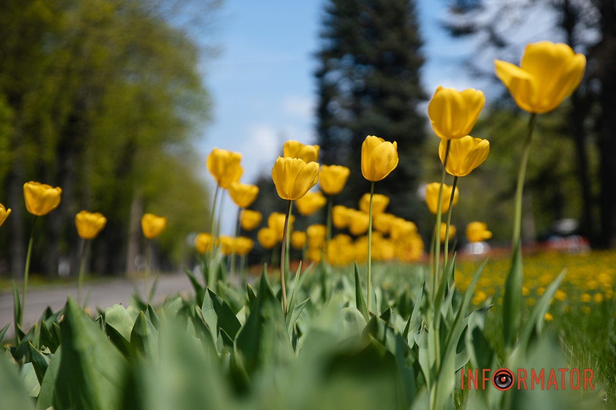 Немов летять