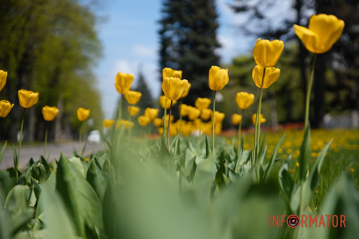 І скажіть, що не гарно?