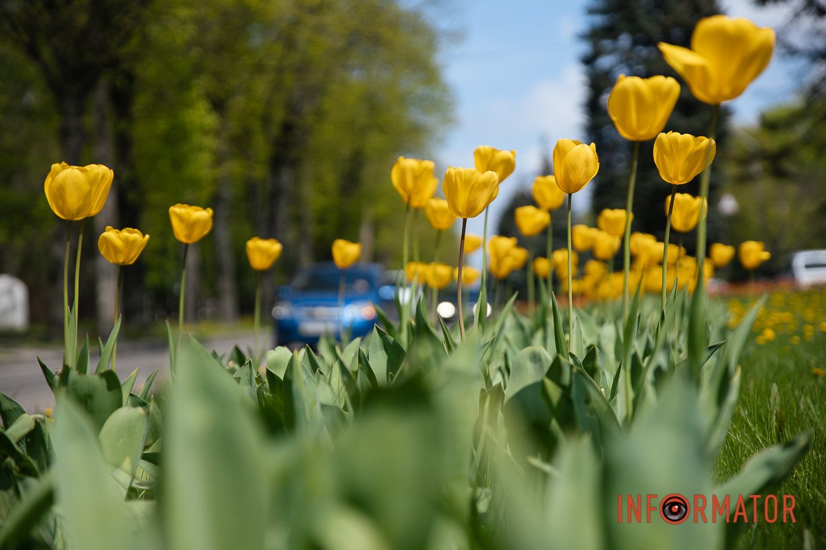 Возвеличуються 