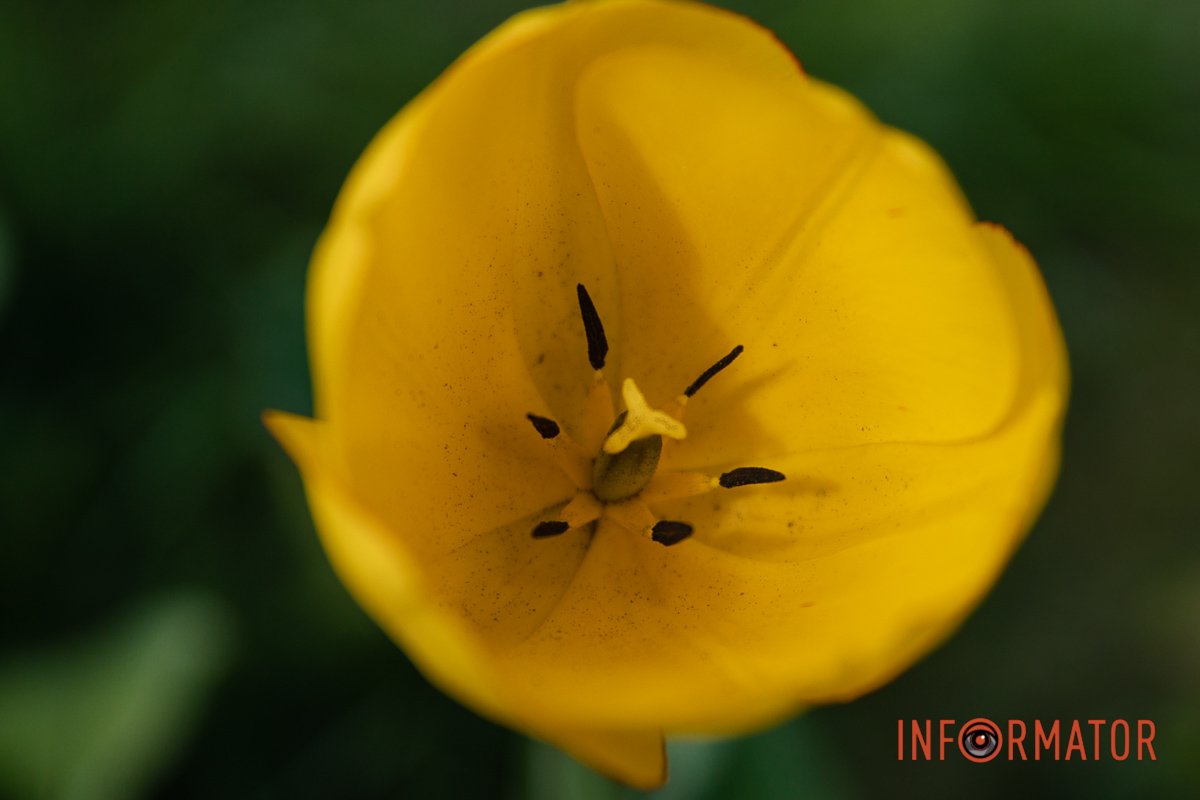 А вас я попрошу залишитися