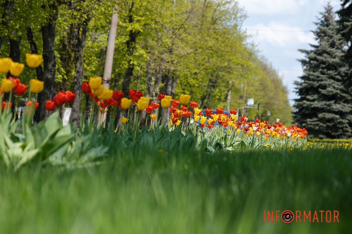 Вулиці Дніпра заграли новими кольорами