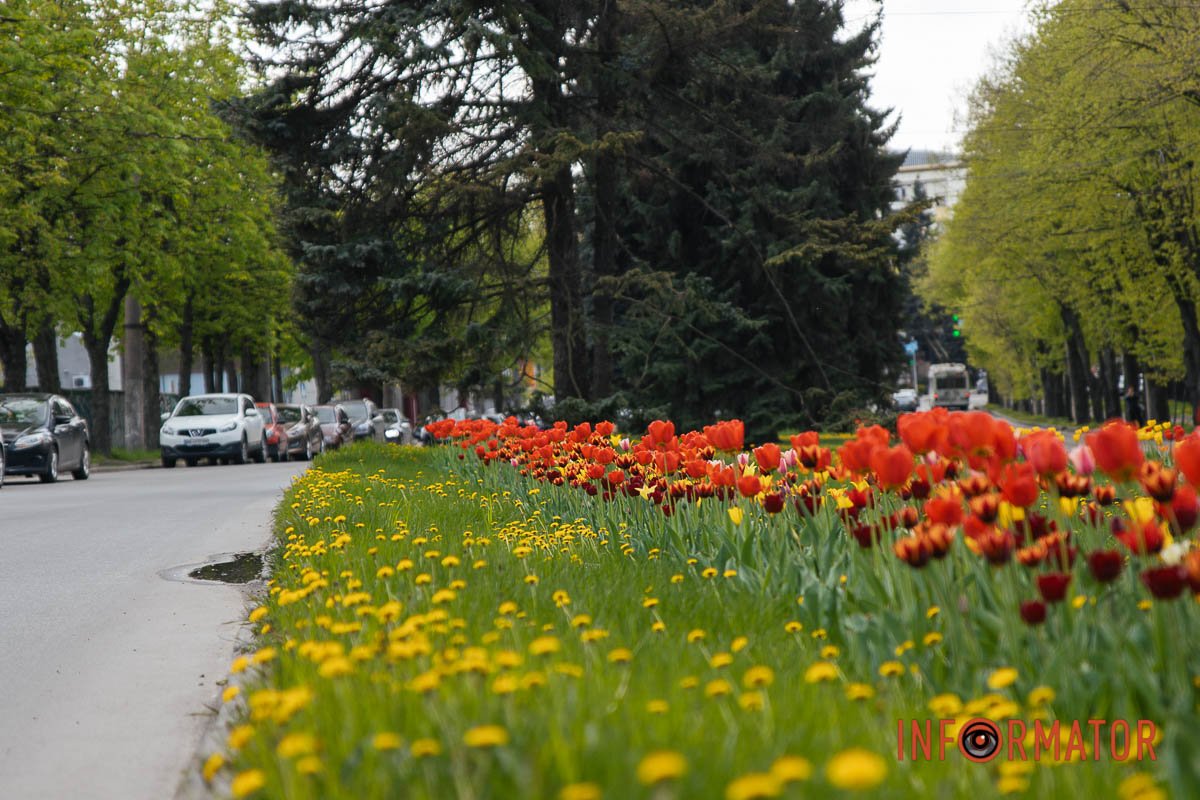По той бік проспекту