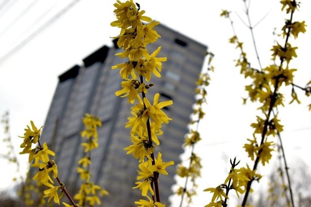 @olga._.nikitina._ @olga._.nikitina._