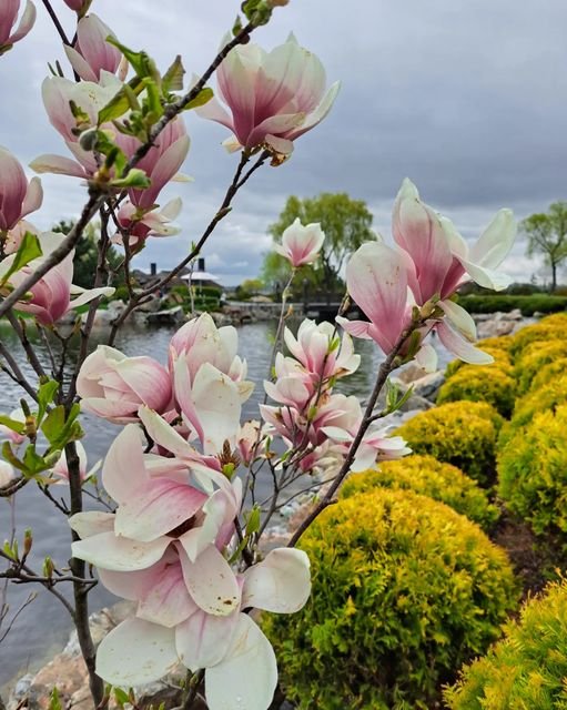 @alena.kozyrieva @alena.kozyrieva