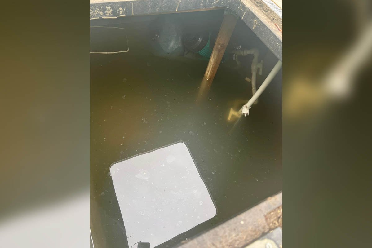 Притулок потребує вашої допомоги Притулок потребує вашої допомоги