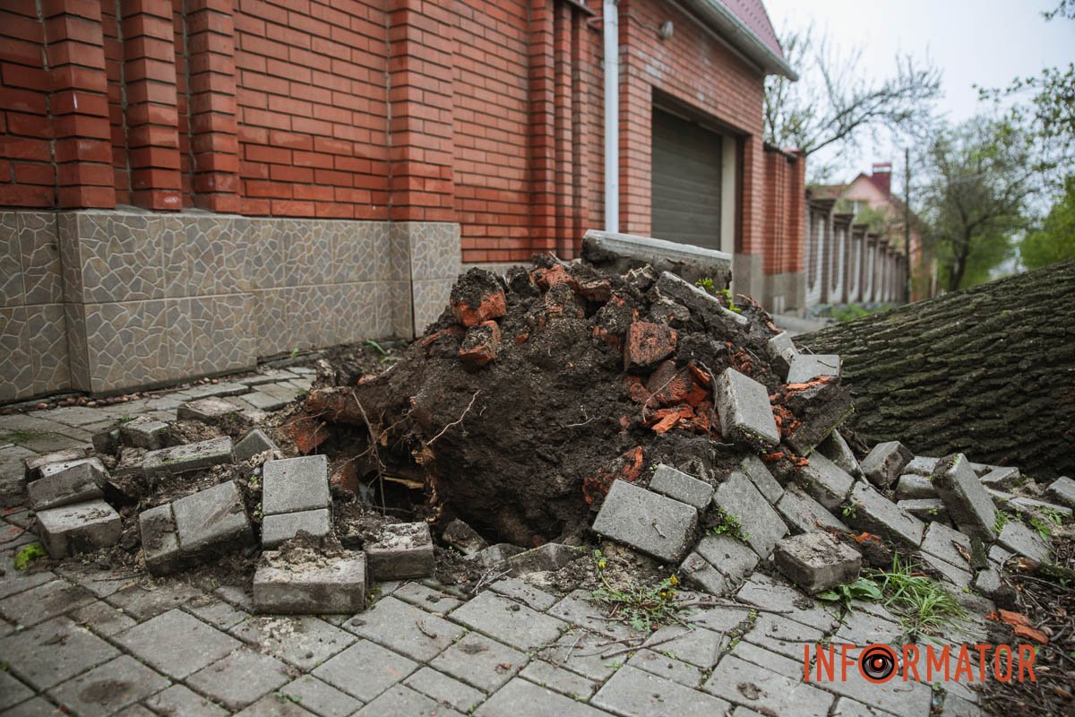 Із корінням Із корінням