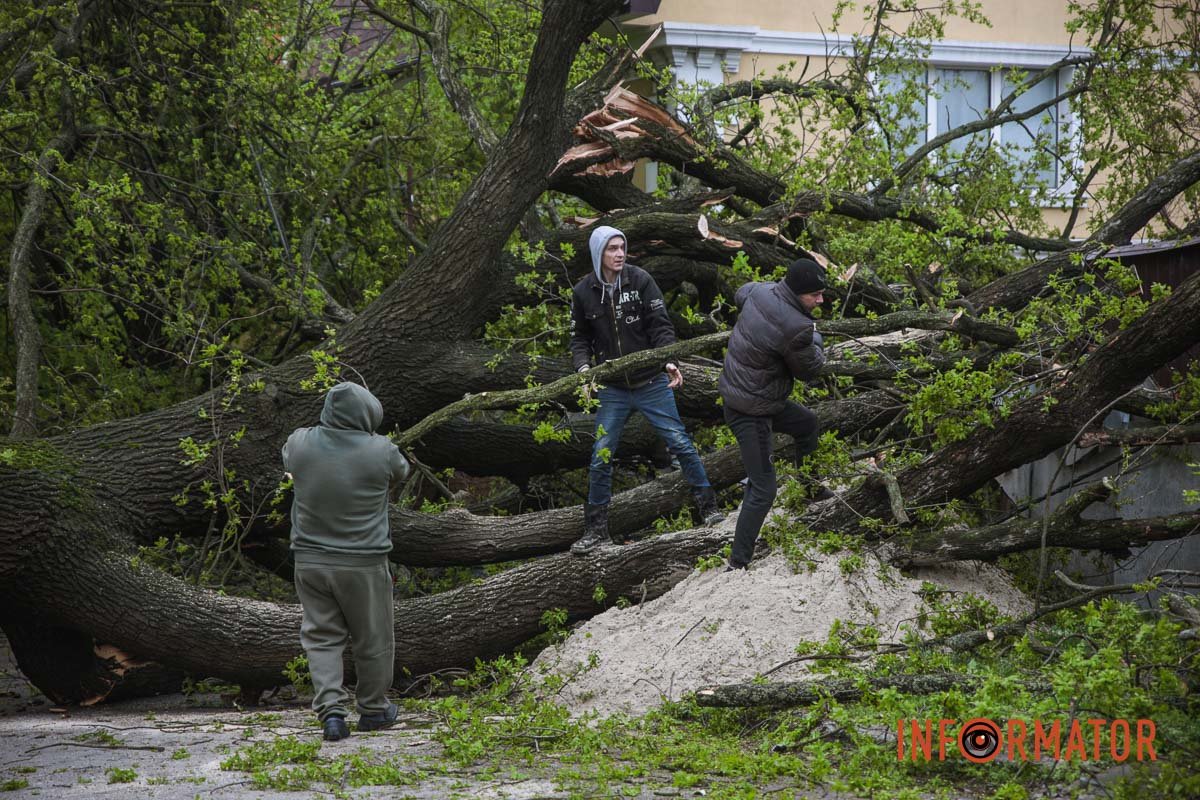 Небайдужі сусіди Небайдужі сусіди