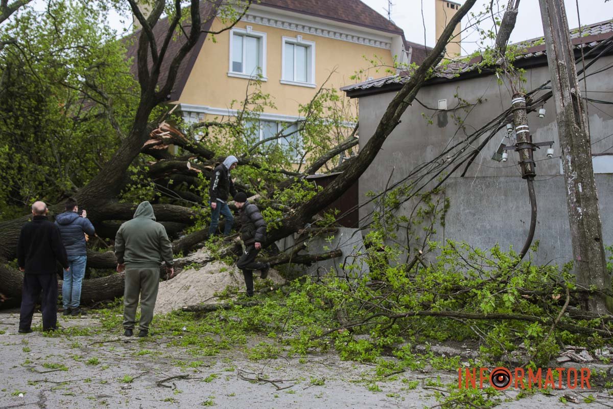 Роботи багато Роботи багато