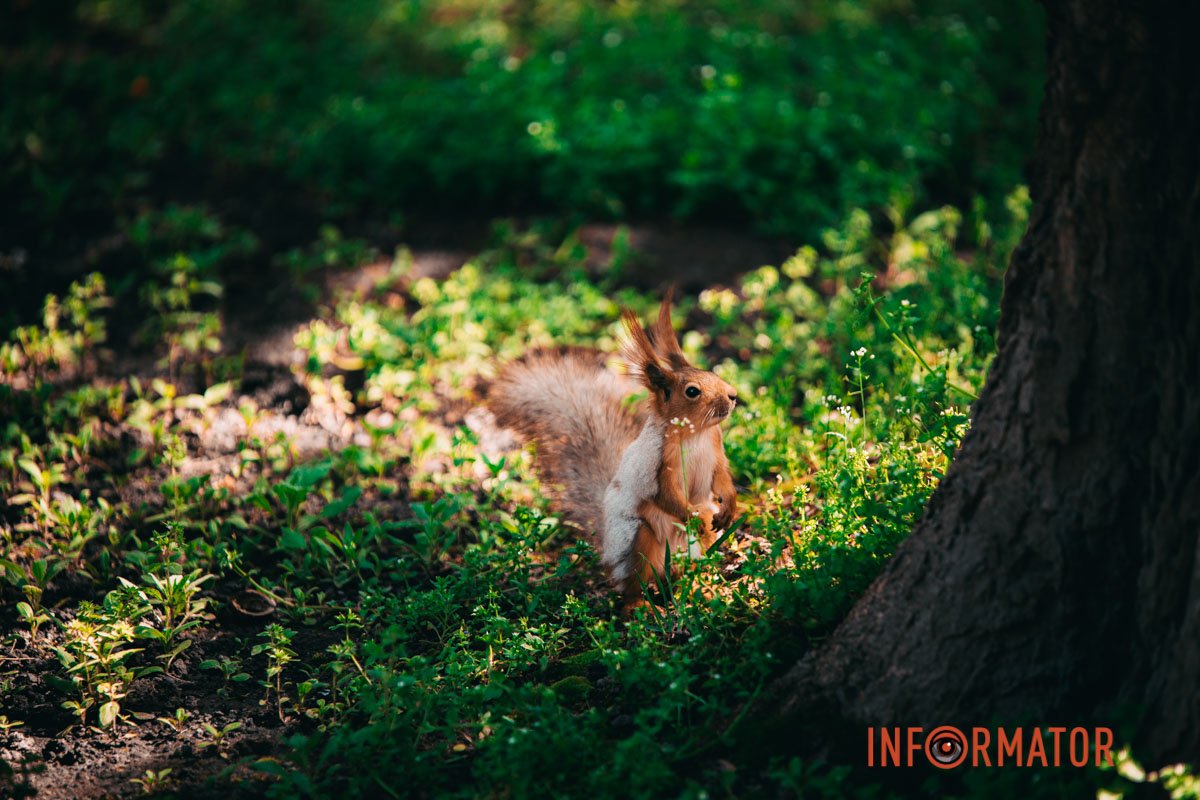 Щось там цікавеньке 