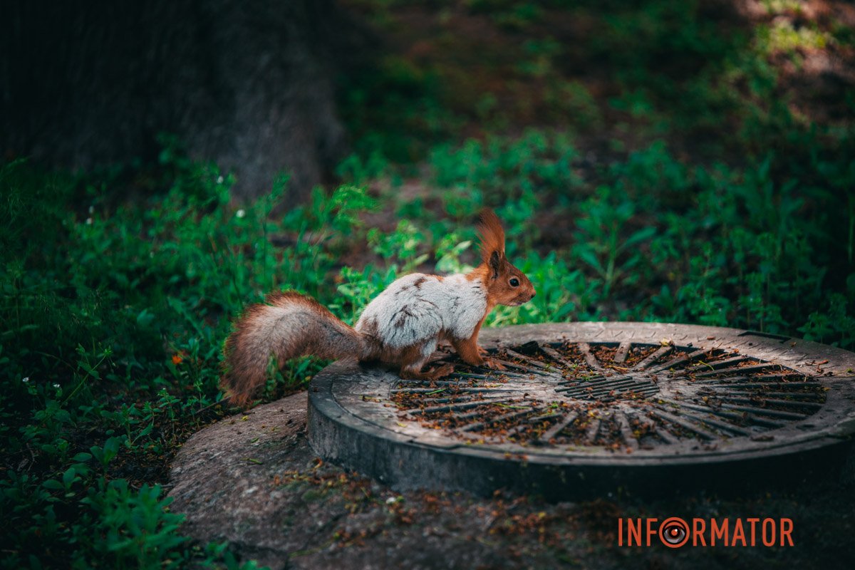 Треба бігти