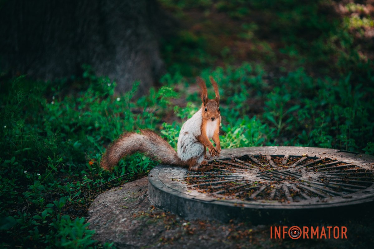 Щось придумала