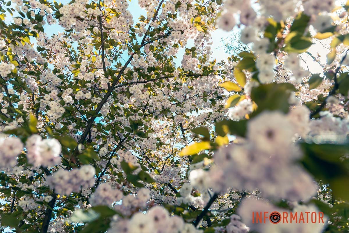 Тендітність 